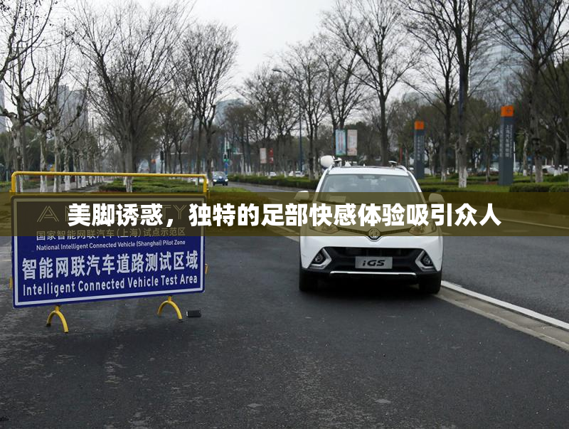 美脚诱惑，独特的足部快感体验吸引众人