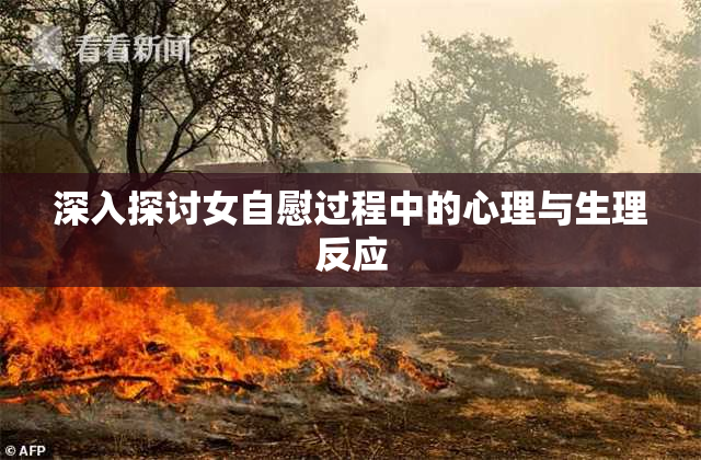 深入探讨女自慰过程中的心理与生理反应