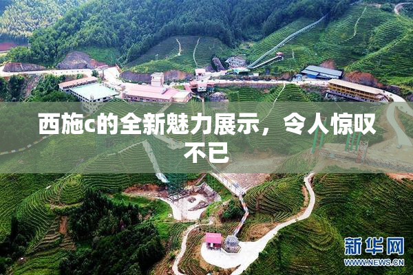 西施c的全新魅力展示，令人惊叹不已