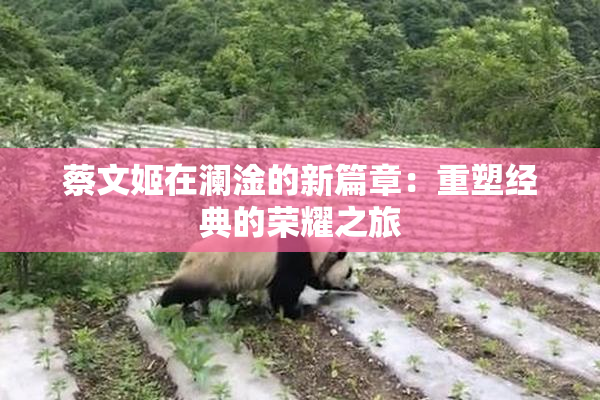 蔡文姬在澜淦的新篇章：重塑经典的荣耀之旅