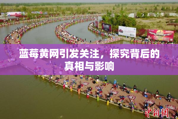 蓝莓黄网引发关注，探究背后的真相与影响