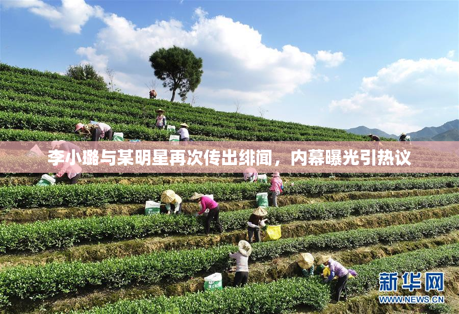 李小璐与某明星再次传出绯闻，内幕曝光引热议