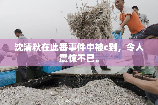 沈清秋在此番事件中被c到，令人震惊不已。