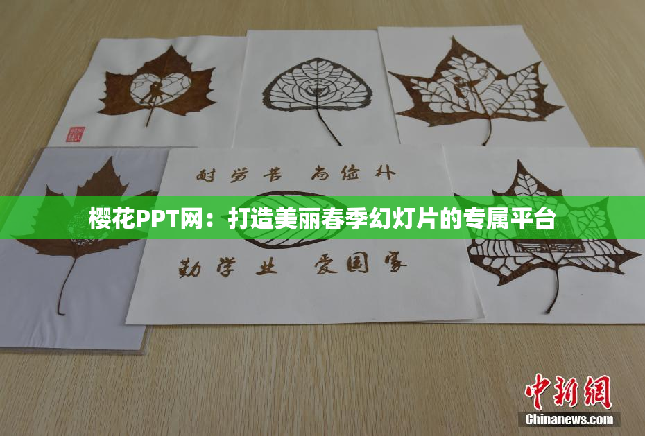 樱花PPT网：打造美丽春季幻灯片的专属平台
