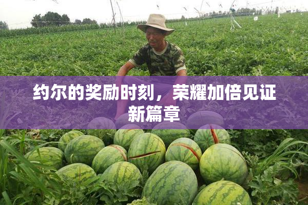 约尔的奖励时刻，荣耀加倍见证新篇章