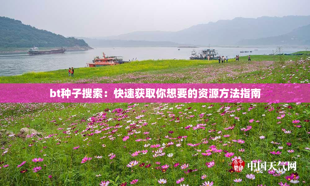 bt种子搜索：快速获取你想要的资源方法指南
