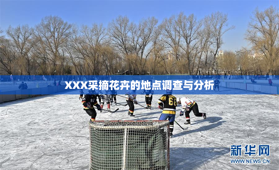 XXX采摘花卉的地点调查与分析