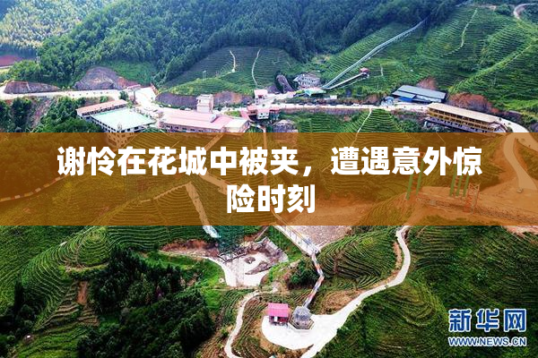 谢怜在花城中被夹，遭遇意外惊险时刻