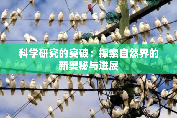 科学研究的突破：探索自然界的新奥秘与进展