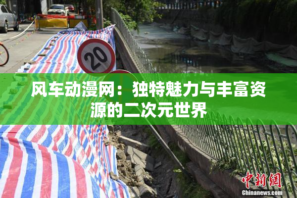 风车动漫网：独特魅力与丰富资源的二次元世界