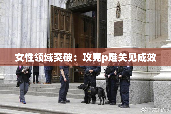 女性领域突破：攻克p难关见成效