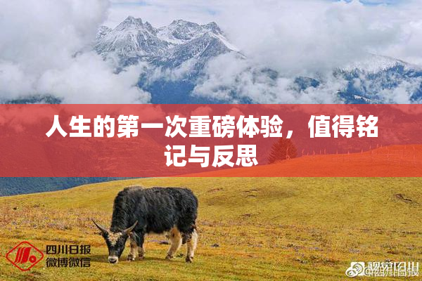 人生的第一次重磅体验，值得铭记与反思