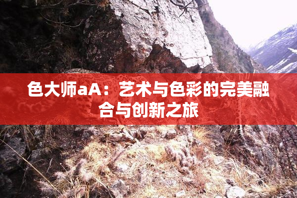 色大师aA：艺术与色彩的完美融合与创新之旅