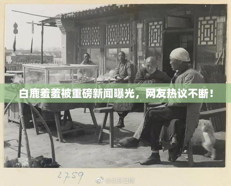 白鹿羞羞被重磅新闻曝光，网友热议不断！
