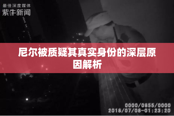 尼尔被质疑其真实身份的深层原因解析