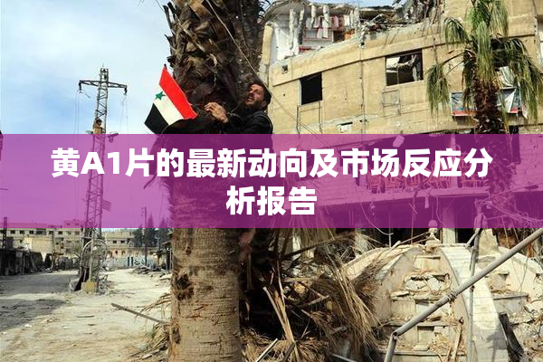 黄A1片的最新动向及市场反应分析报告