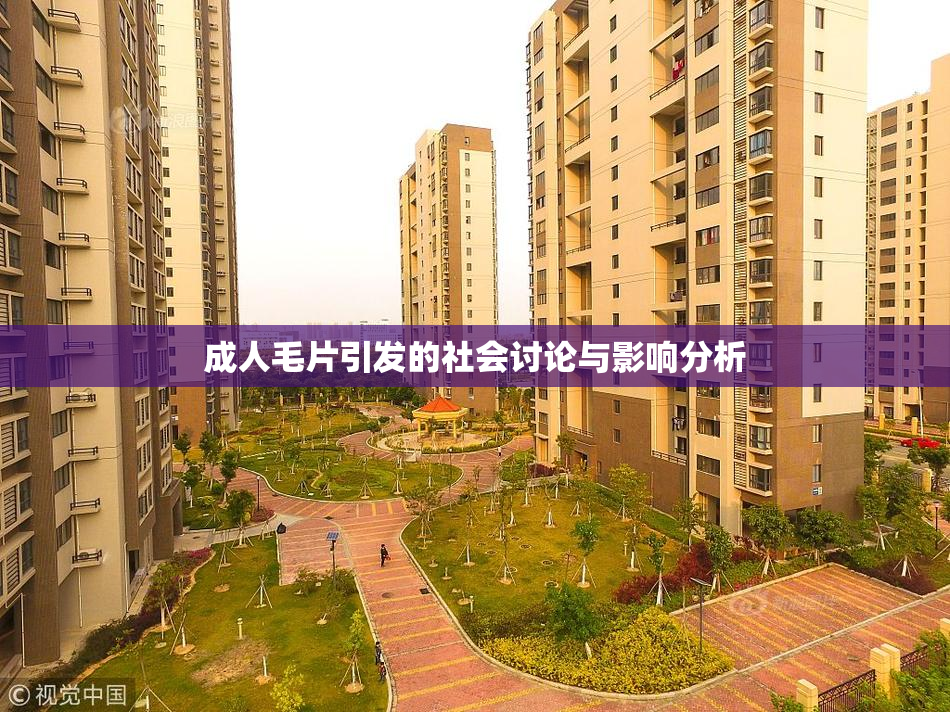 成人毛片引发的社会讨论与影响分析