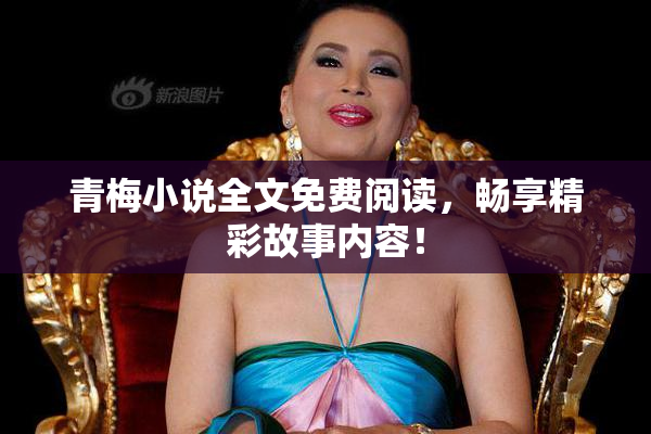 青梅小说全文免费阅读，畅享精彩故事内容！