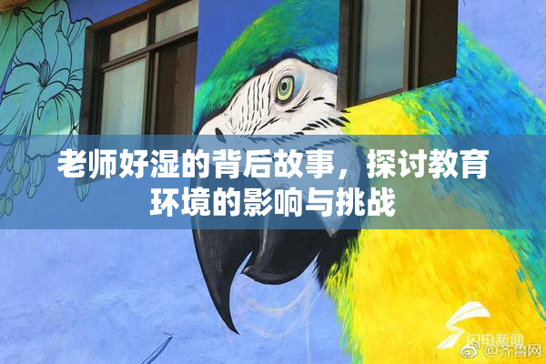 老师好湿的背后故事，探讨教育环境的影响与挑战