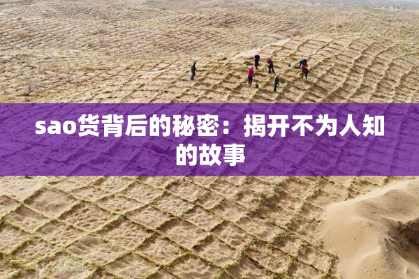 sao货背后的秘密：揭开不为人知的故事