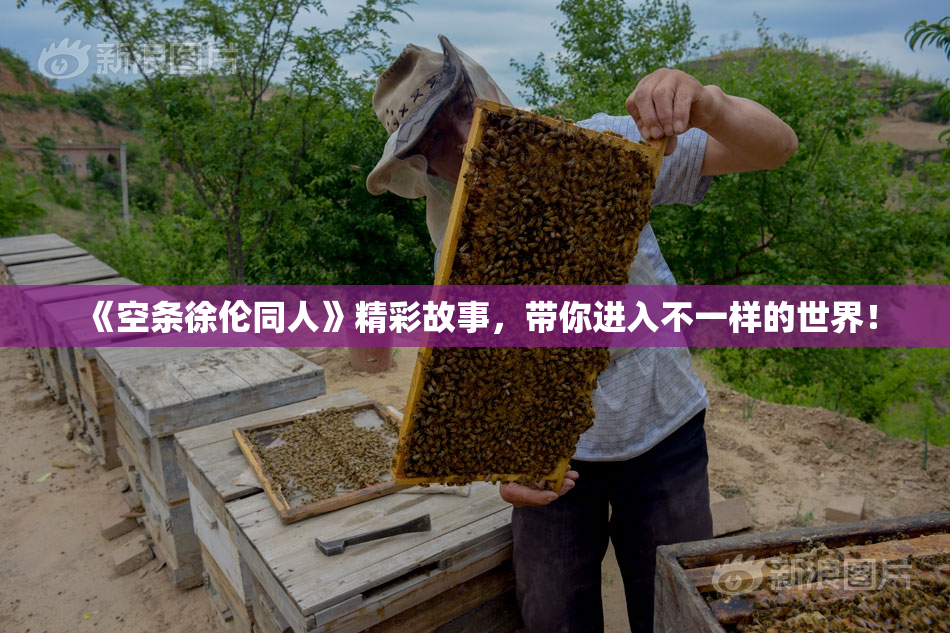 《空条徐伦同人》精彩故事，带你进入不一样的世界！