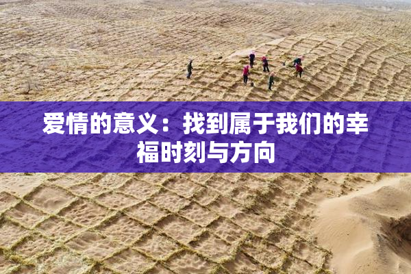 爱情的意义：找到属于我们的幸福时刻与方向