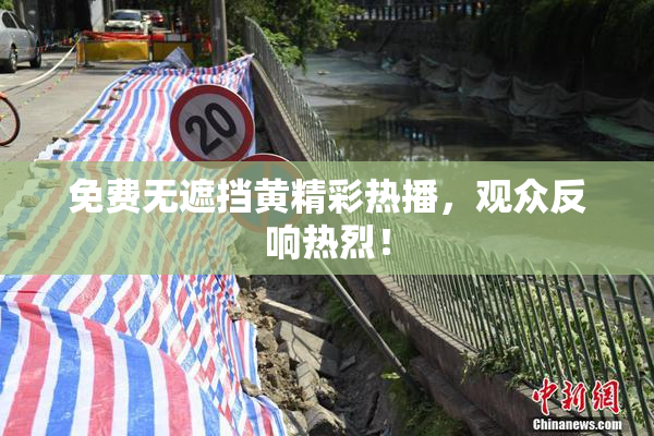 免费无遮挡黄精彩热播，观众反响热烈！
