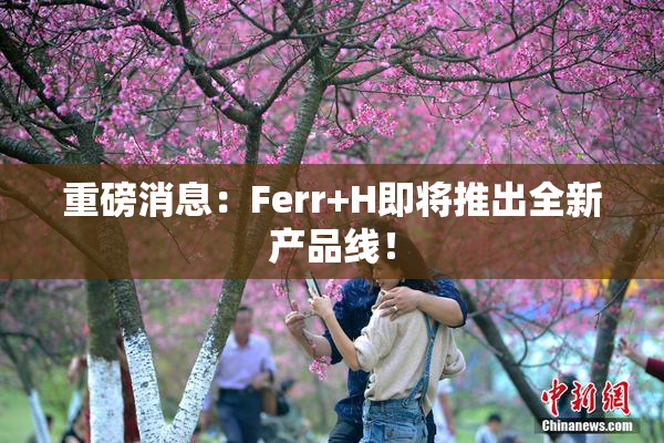 重磅消息：Ferr+H即将推出全新产品线！