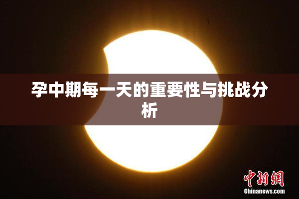 孕中期每一天的重要性与挑战分析