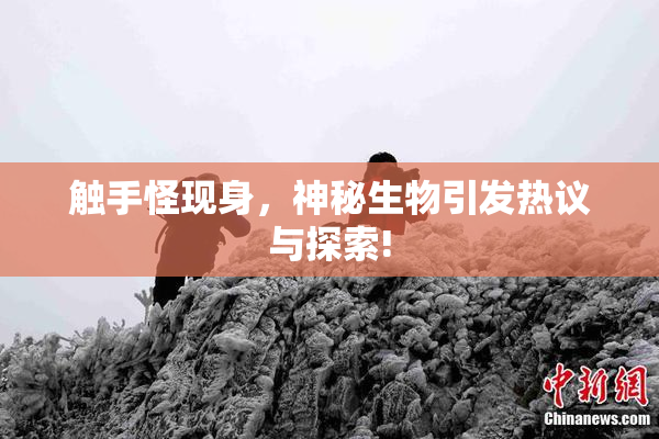 触手怪现身，神秘生物引发热议与探索!
