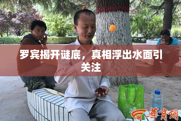 罗宾揭开谜底，真相浮出水面引关注
