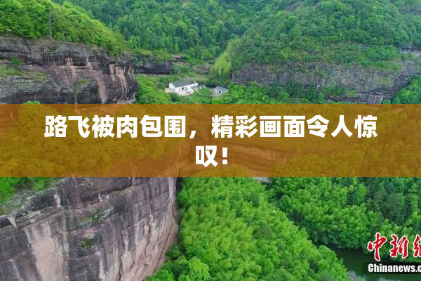 路飞被肉包围，精彩画面令人惊叹！