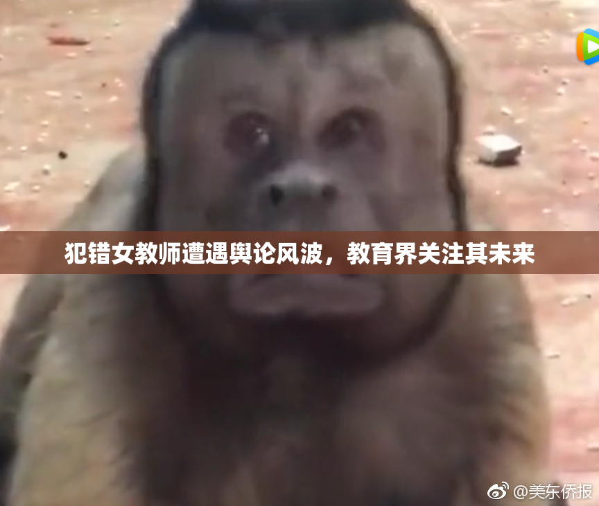 犯错女教师遭遇舆论风波，教育界关注其未来