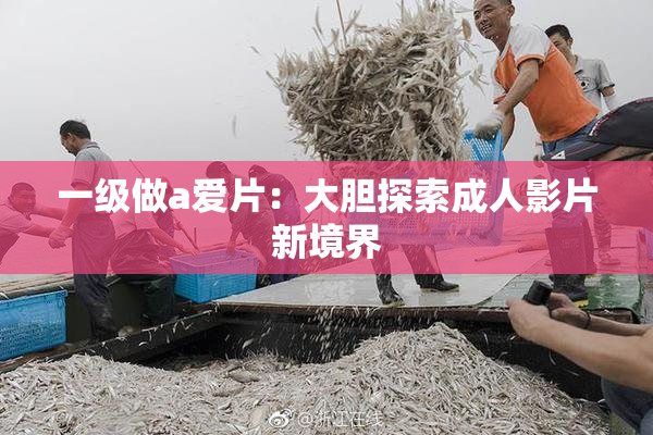 一级做a爱片：大胆探索成人影片新境界