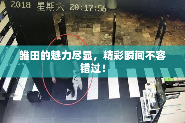 雏田的魅力尽显，精彩瞬间不容错过！