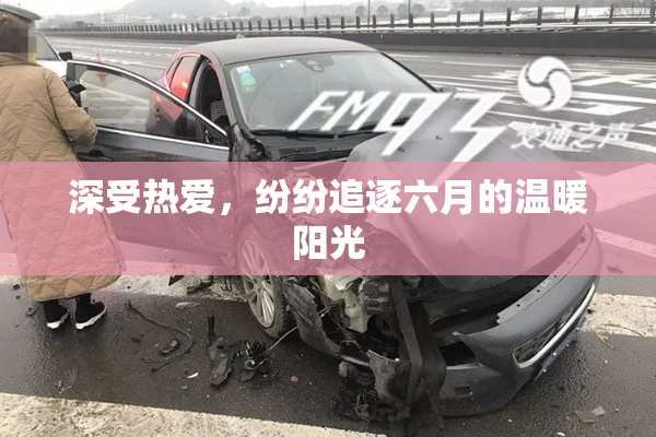 深受热爱，纷纷追逐六月的温暖阳光