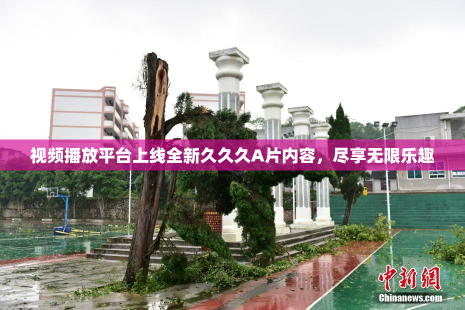 视频播放平台上线全新久久久A片内容，尽享无限乐趣