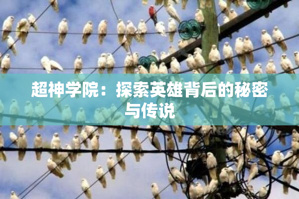 超神学院：探索英雄背后的秘密与传说