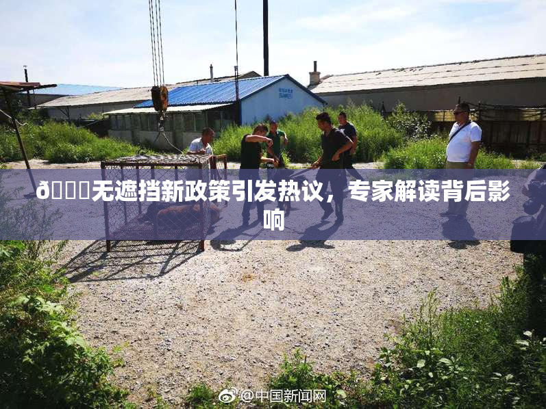 🔞无遮挡新政策引发热议，专家解读背后影响