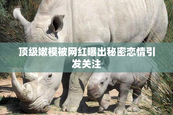 顶级嫩模被网红曝出秘密恋情引发关注