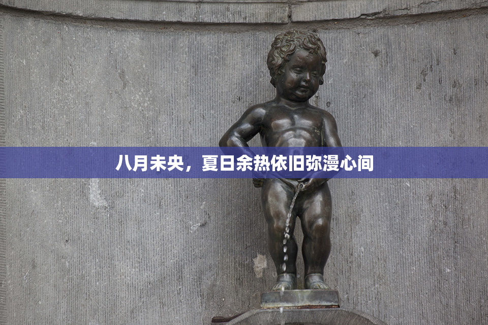 八月未央，夏日余热依旧弥漫心间