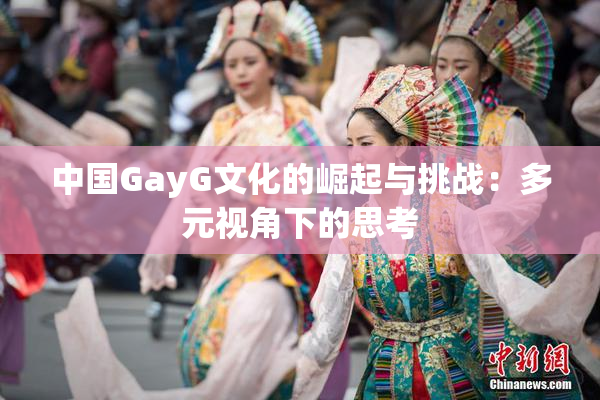 中国GayG文化的崛起与挑战：多元视角下的思考