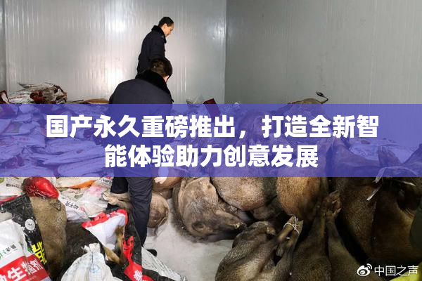 国产永久重磅推出，打造全新智能体验助力创意发展