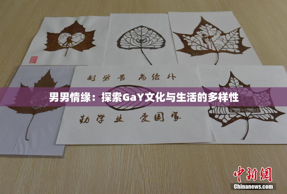 男男情缘：探索GaY文化与生活的多样性