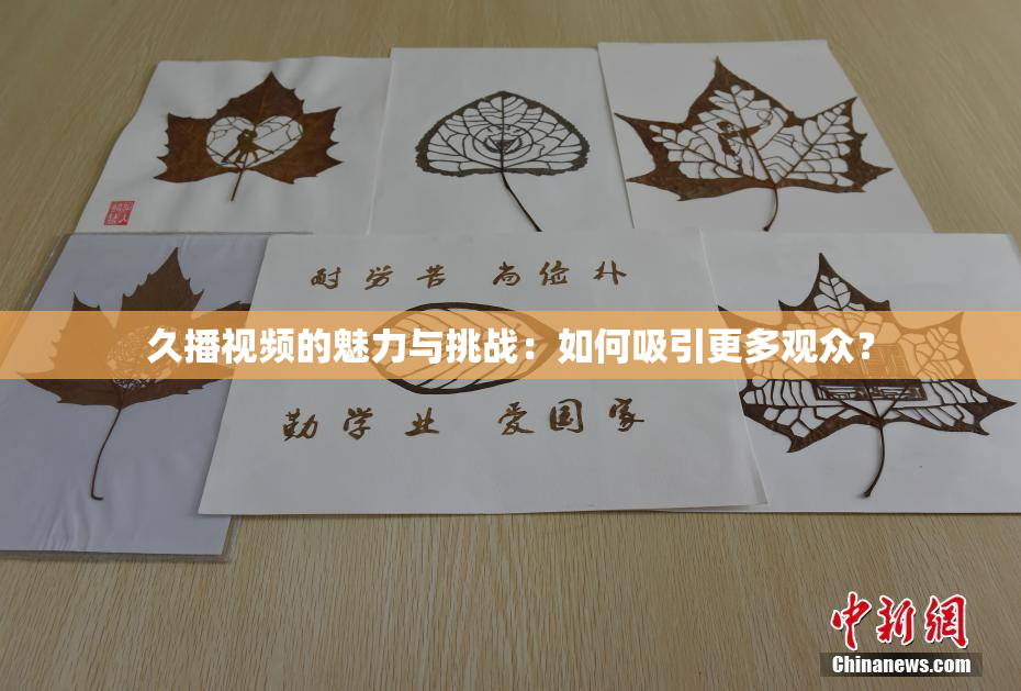 久播视频的魅力与挑战：如何吸引更多观众？