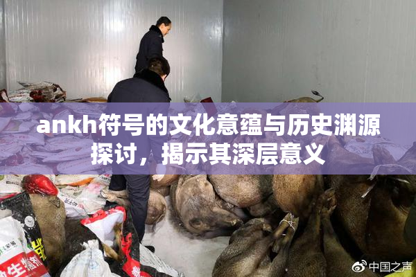 ankh符号的文化意蕴与历史渊源探讨，揭示其深层意义