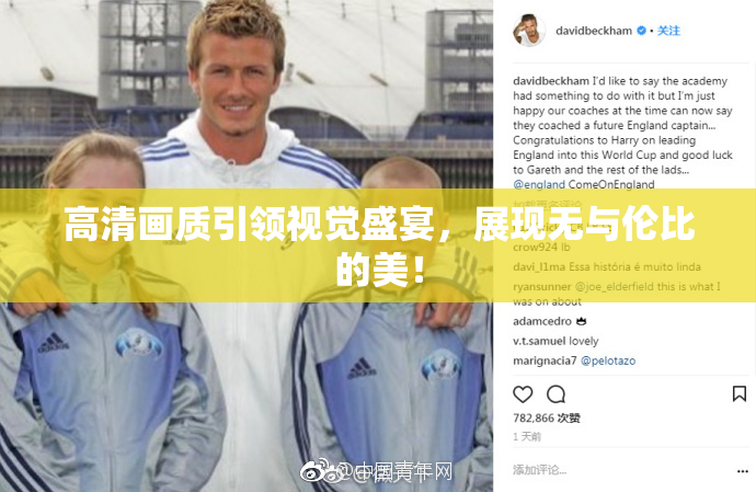 高清画质引领视觉盛宴，展现无与伦比的美！