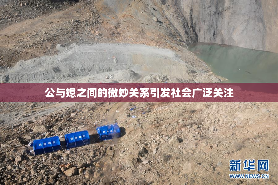 公与媳之间的微妙关系引发社会广泛关注