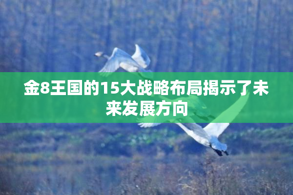 金8王国的15大战略布局揭示了未来发展方向