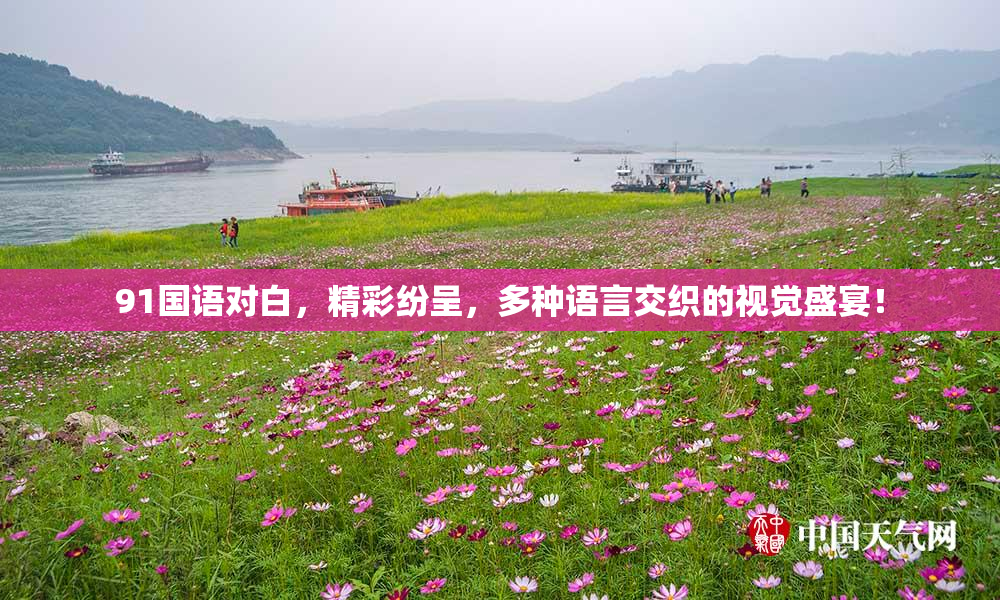 91国语对白，精彩纷呈，多种语言交织的视觉盛宴！